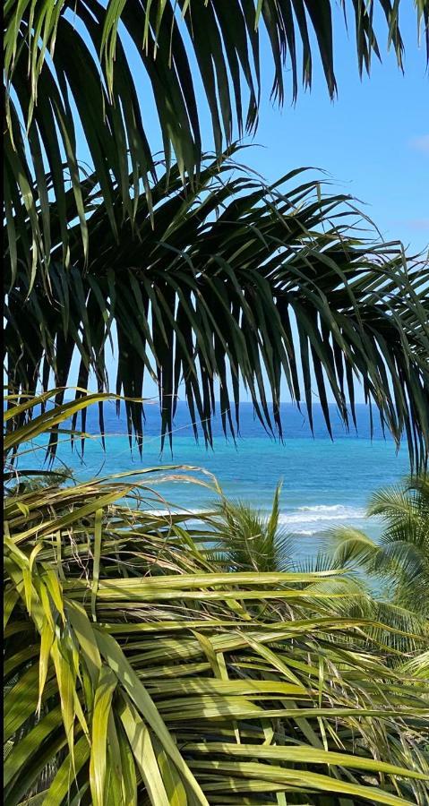 Spring Garden Mobay Resort Montego Bay Luaran gambar