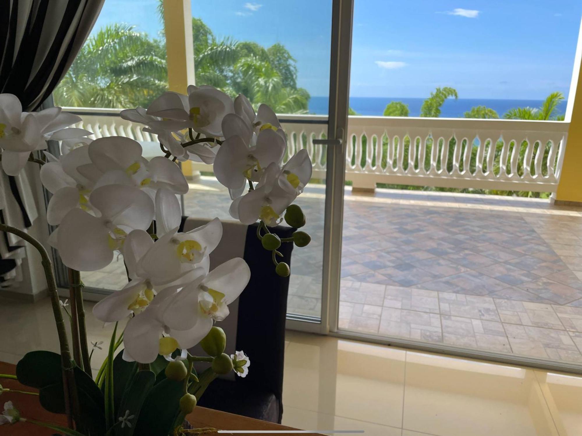 Spring Garden Mobay Resort Montego Bay Luaran gambar